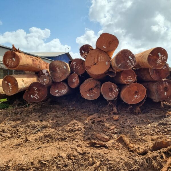 KAW - Logs - Ảnh 2