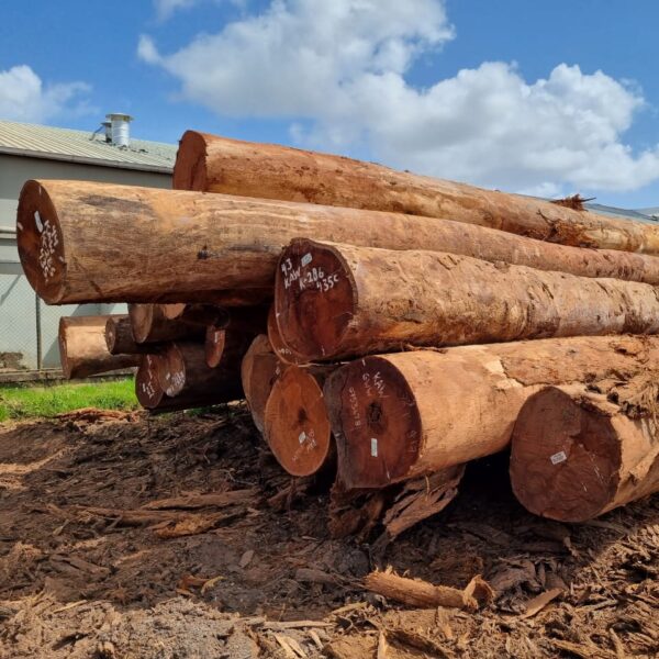 KAW - Logs - Ảnh 3